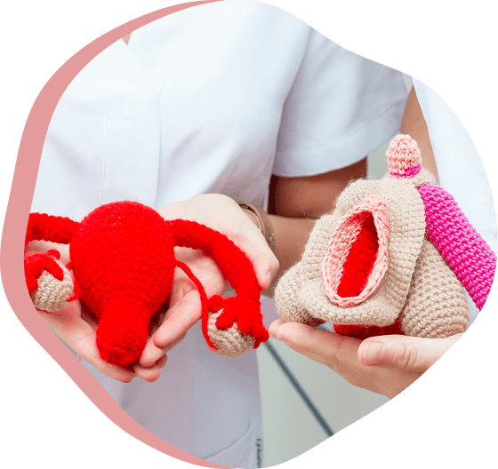 Peluches de un útero y una vagina sujetadas por manos