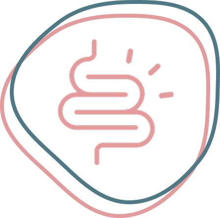 Icono intestinos