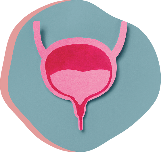 Cartulina representativa